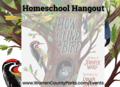 How To Find a Bird book cover